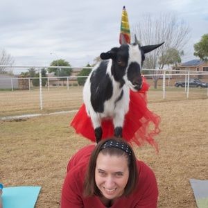 Meet your Posher, Kim